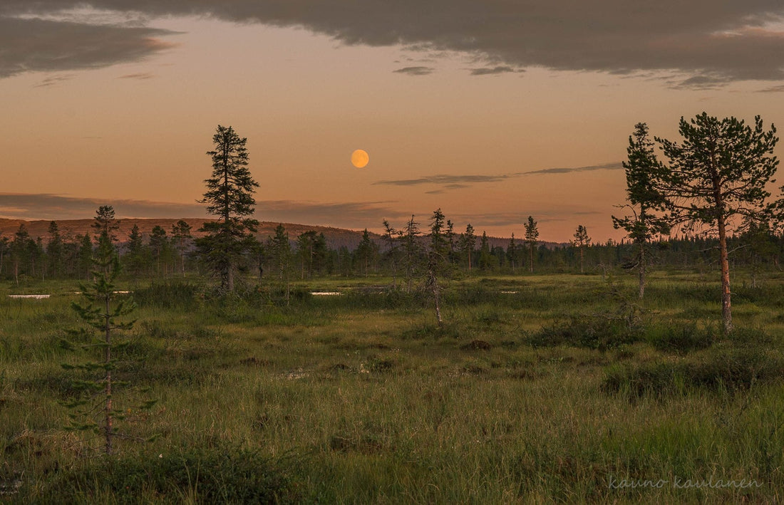 Hillajänkälä