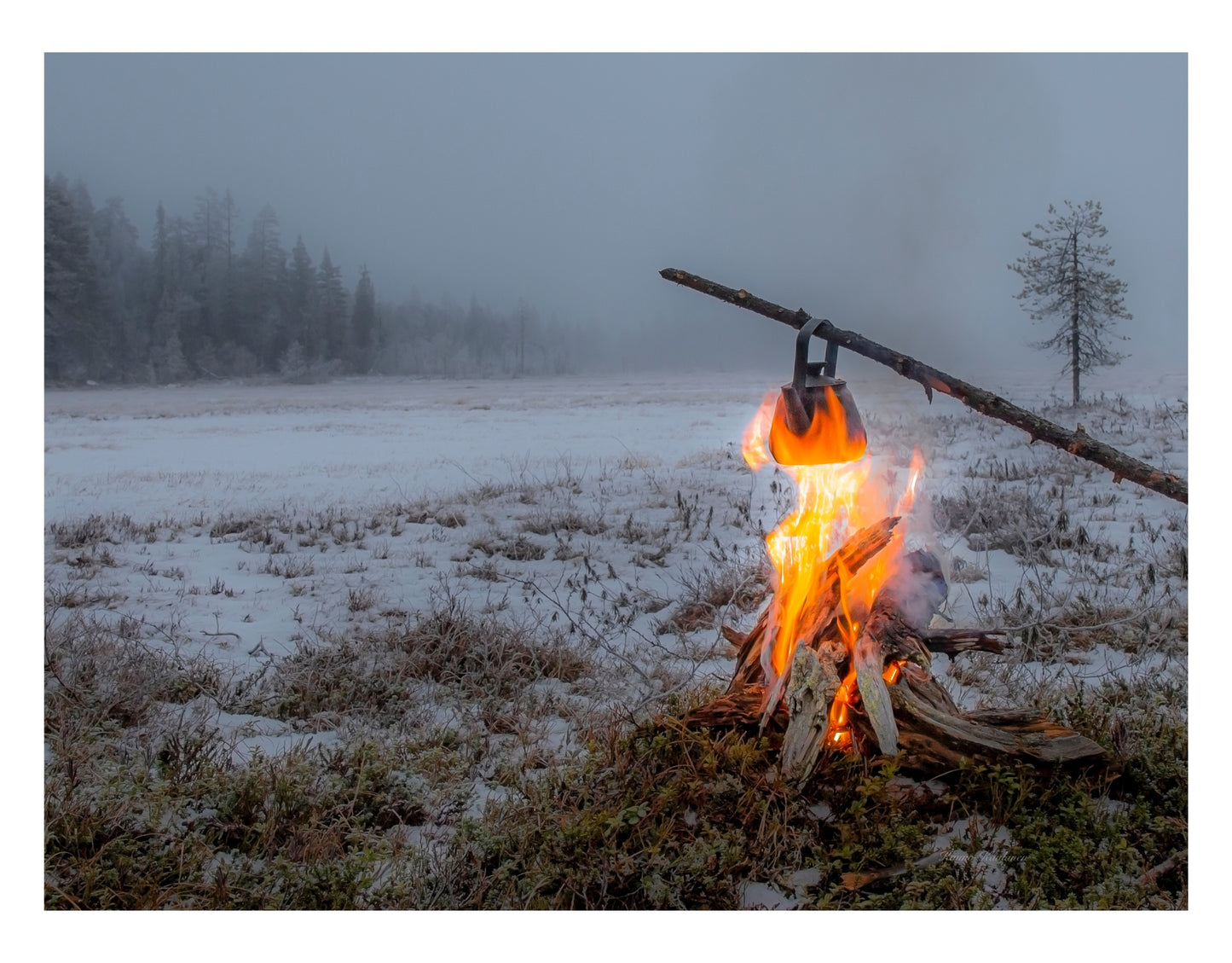 ERÄMAAN NUOTIOHETKI