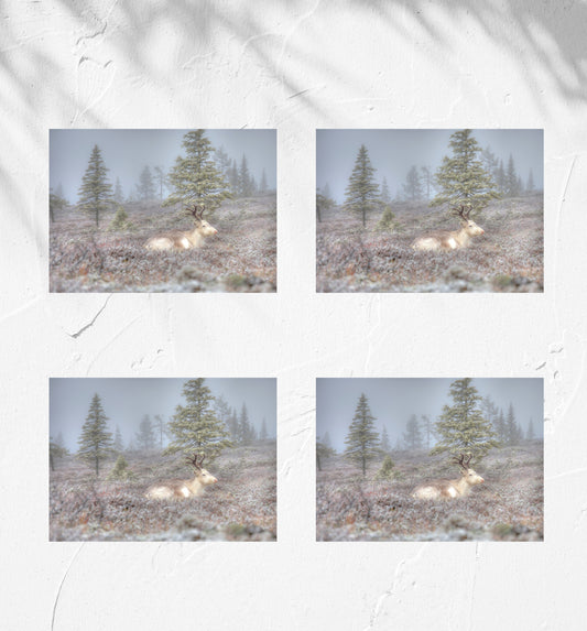 MORNING OF THE REINDEER