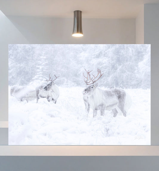 SOPEUTUJAT LUMISATEESSA